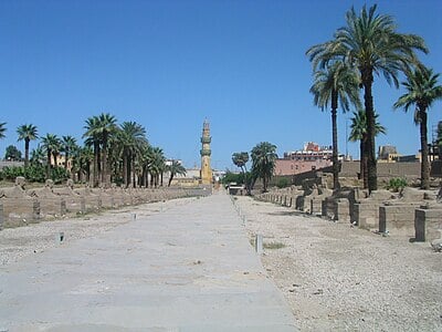 What is the approximate area of Luxor?
