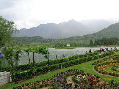 What is the primary occupation associated with Srinagar's Dal and Anchar lakes?