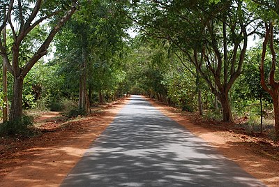 How many people live in Auroville currently?