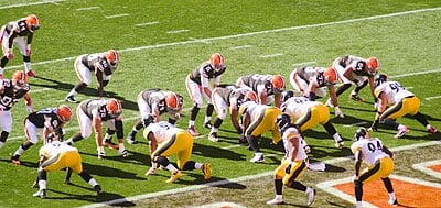 What are the official club colors of the Cleveland Browns?