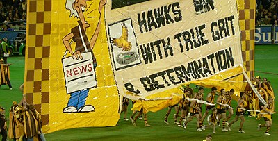 Which Hawthorn player was nicknamed "The Flying Doormat"?