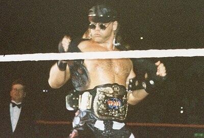 How many times has Shawn Michaels won the WWE's World Heavyweight Championship?