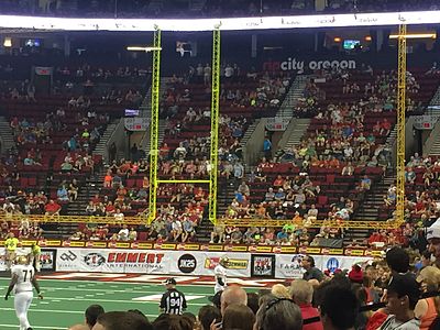 In which year was the first Arena Football League (AFL) founded?