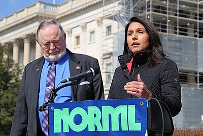 In which year did Tulsi Gabbard end her presidential candidacy?