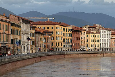 What university is located in Pisa?