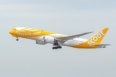What type of aircraft does Scoot use for its short-haul flights?