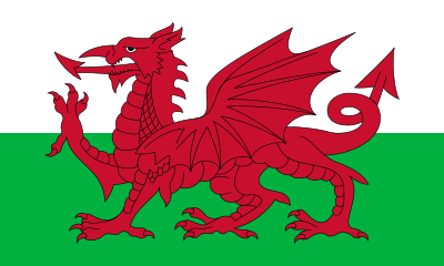 [url class="tippy_vc" href="#1586982"]Ashley Williams[/url] was Wales National Association Football Team's captain from 2012 until 2019. Who is the captain of Wales National Association Football Team since 2019?