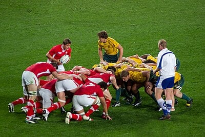 In which year was the Welsh Rugby Union established?