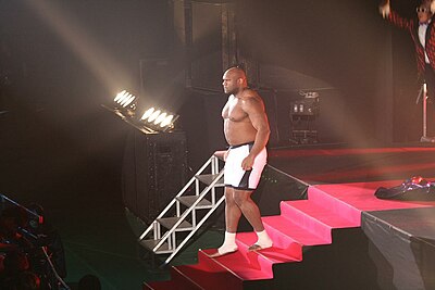 Bob Sapp's contribution to combat sports is notably in which countries?