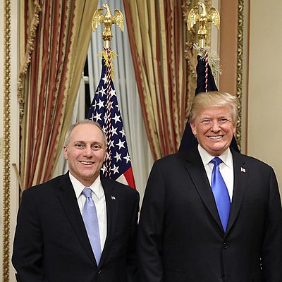 Before serving in Congress, where did Scalise serve?