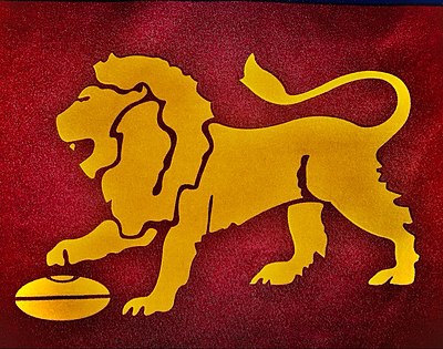 In which city are the Brisbane Lions based?