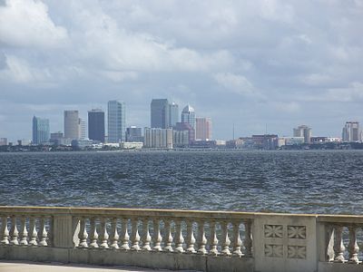 What is the elevation above sea level of Tampa?