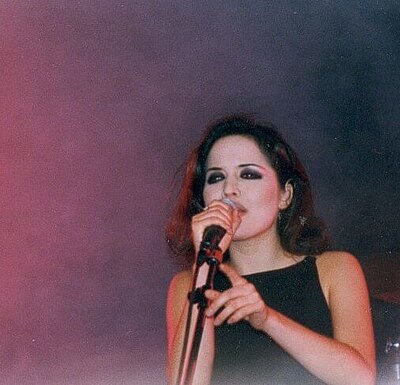 Which group was Andrea Corr the lead singer of?