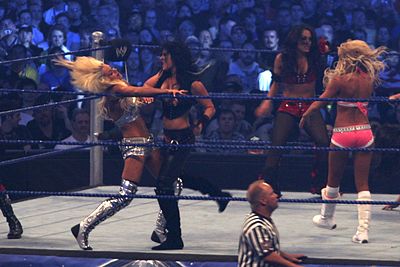 What career did Maryse have before wrestling?