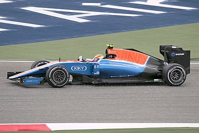 What is the profession of Rio Haryanto?