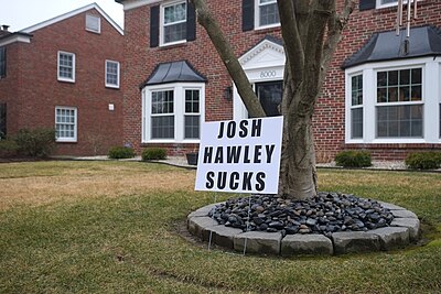 What is Josh Hawley known for criticizing in the Senate?