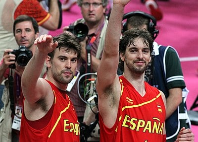 In 2017 Pau Gasol received the Gold Medal Of Work Merit. Which other award did Pau Gasol receive in 2017?