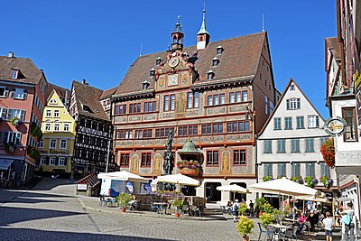 What is the name of the university in Tübingen?