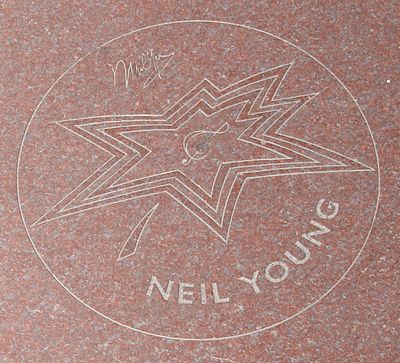 What genres best describes Neil Young?[br](select 2 answers)