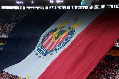 In which stadium does C.D. Guadalajara play their home matches?