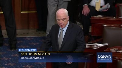 Which of the following fields of work was John McCain active in?