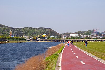 What is the name of the famous red clay trail in Daejeon?