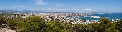 What is the elevation above sea level of Palma?