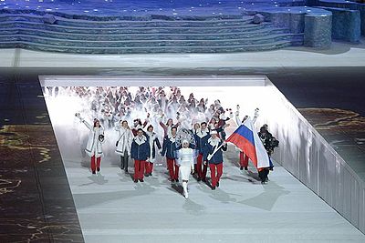 How many sports did Russia participate in at the 2014 Winter Olympics?