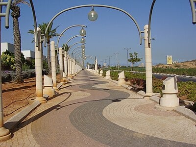 What is the name of Rishon LeZion's main street?
