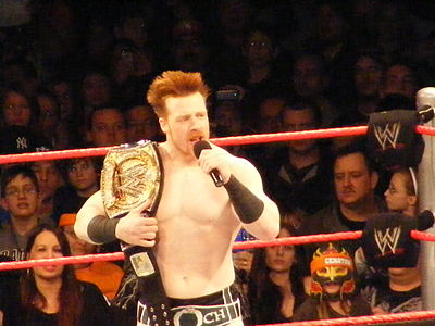 What are Sheamus's most famous occupations?[br](Select 2 answers)