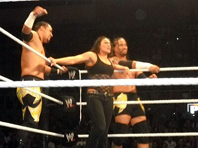 When did The Usos debut in WWE's developmental territory FCW?