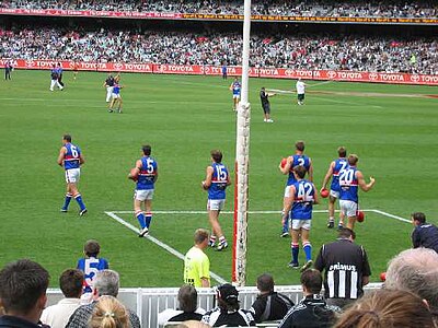 Which sport is Western Bulldogs known for?