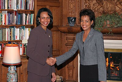Which fields of work was Condoleezza Rice active in? [br](Select 2 answers)