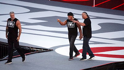 Who were the other nWo members inducted with Kevin Nash into the WWE Hall of Fame class of 2020?