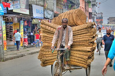 What is the primary mode of transportation within Biratnagar?