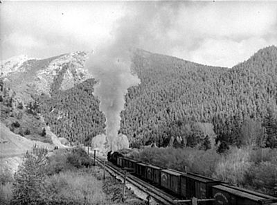 How many acres of land grants did the Northern Pacific Railway receive?