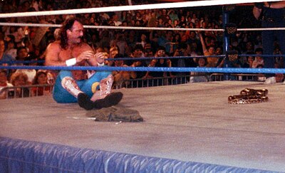 Who did Jake Roberts defeat in his first-round match at WrestleMania IV?