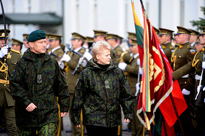 Before her presidency, Grybauskaitė served as Lithuania's Minister of?