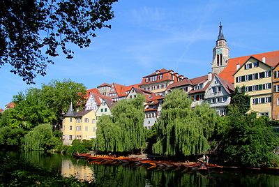 What lies immediately north of Tübingen?