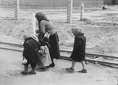 What was the occupation of most Hungarian Jews deported under Eichmann's supervision?